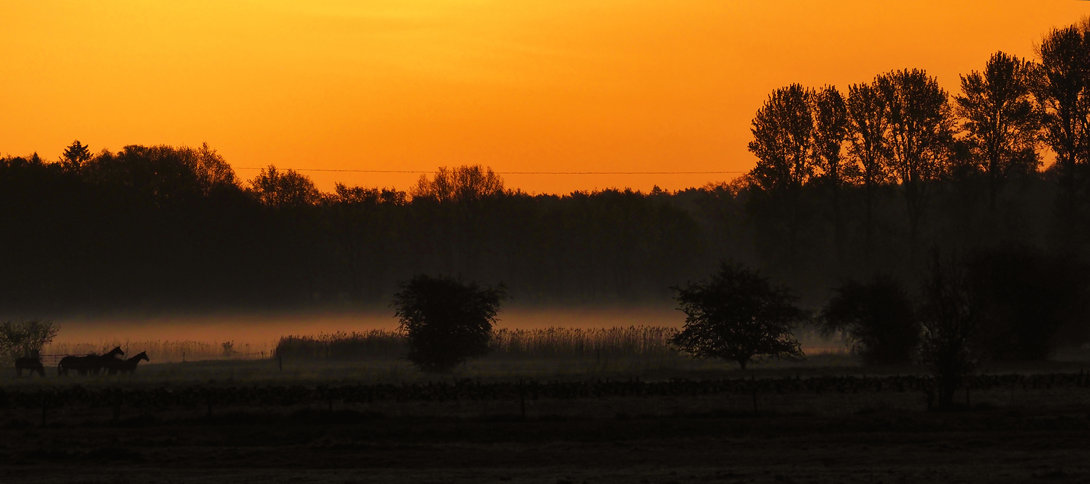 Schleswig-Holstein bei Wedel am Morgen